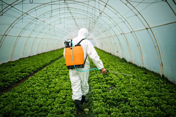 Best Mosquito Control Services  in Port Washington, WI
