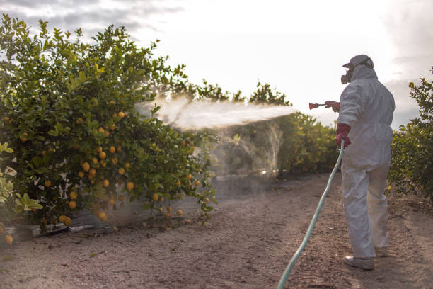 Best Pest Control Cost  in Port Washington, WI