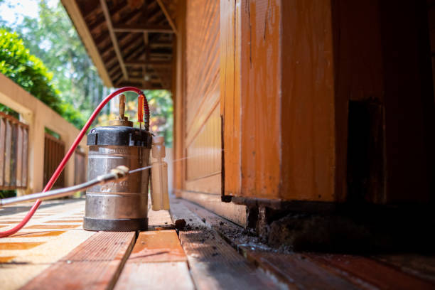 Best Termite Control Services  in Port Washington, WI