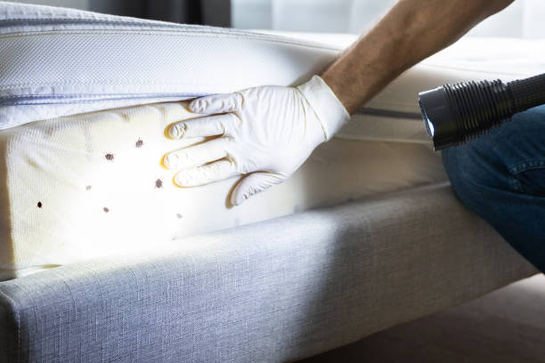Best Wildlife Control Services  in Port Washington, WI
