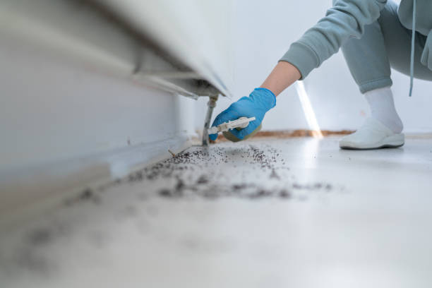 Wildlife Control Services in Port Washington, WI